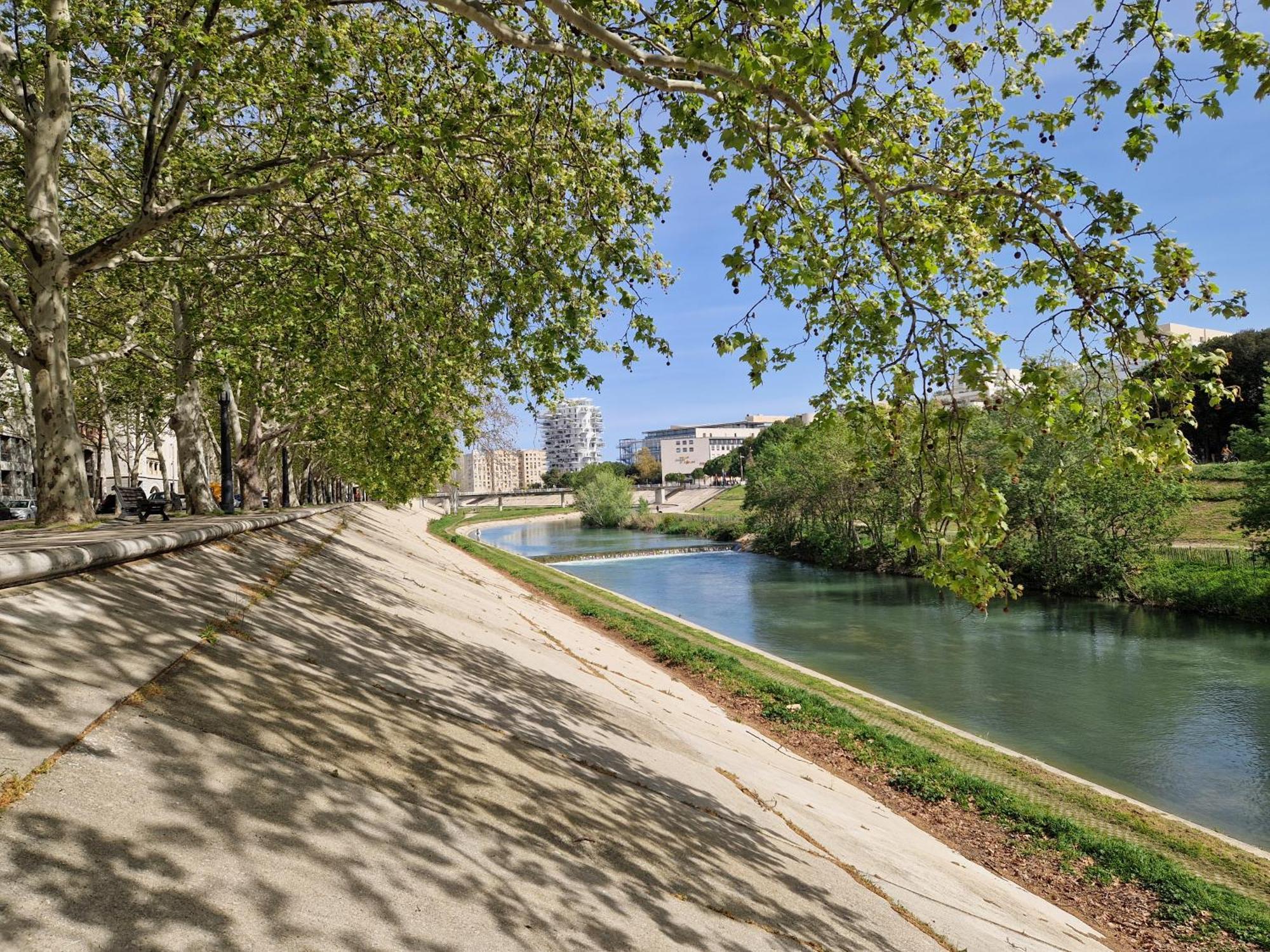 Appartement Avec Vue Sur Le Lez Montpellier Esterno foto